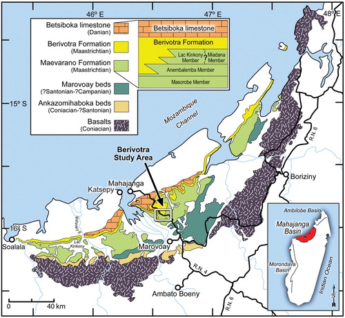 FIGURE 1. Outcrop map of Upper Cretaceous and Paleocene strata in the Mahajanga Basin of northwestern Madagascar (see inset); the Berivotra Study Area is highlighted (rectangle). The holotype specimen of Adalatherium hui (UA 9030) was recovered from locality MAD99-15 in the Anembalemba Member of the Maevarano Formation, which is of latest Cretaceous (Maastrichtian) age.