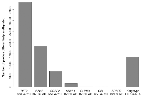 Figure 3. Differential methylation between CMML patients displaying distinct molecular and cytogenetic features. The bar plot shows the number of probes differentially methylated (P<0.05) between groups of patients characterized by different molecular features (presence vs. absence of specific gene mutations) and cytogenetic [intermediate/high risk karyotype (IHR-K) vs. low risk karyotype (LR-K)].