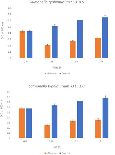 Figure 4. The bacterial lytic effect of 1× MIC bovine Nk-lysin peptide against Salmonella typhimurium (ATCC 14028) at different inoculum concentrations. Data presented as means (±SD) of three independent repeats in triplicate. (* p ˂ 0.01 compared to control group).