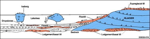 Figure 6. Formation of flowtills in a proglacial ice-contact setting.