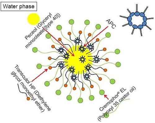 Figure 11 A schematic illustration of APC-SNEDDS dissolved in distilled water. APC: Akebia saponin D-phospholipid complex.Notes: Reproduced from Shen J, Bi J, Tian H, et al. Preparation and evaluation of a self-nanoemulsifying drug delivery system loaded with akebia saponin D–phospholipid complex. Int J Nanomed. 2016;11:4919-4929Citation183