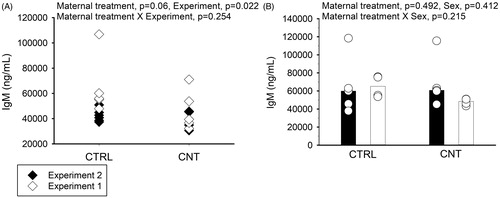 Figure 5. Effect of pre-conceptional maternal CNT exposure on IgM levels in naïve 4-week-old offspring (A, n = 4-5 per group per experiment) and suboptimally sensitized offspring (B, n = 4-5, from Figure 1(B)). In B, individual and median values of female (black) and male (white) offspring are shown. The limit of detection for the assay was 3990 ng/mL. p-values of the GLM analyses are given above the figures. All data were log-transformed for the statistical analyses.