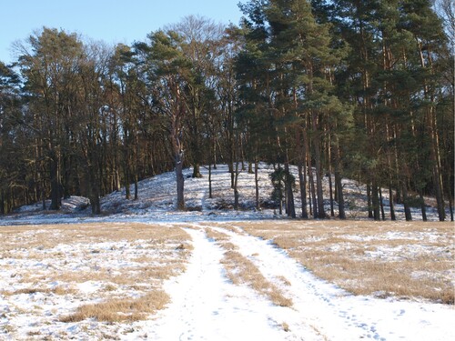 Figure 1. Photograph of the royal tomb (‘Königsgrab’) of Seddin.