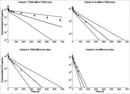 Figure 4. Observed (mean ± SD) versus predicted (5, 50 and 95 percentile prediction) plasma concentration after IV administration of mAb1 at 10 mg/kg to the different mouse cohorts.
