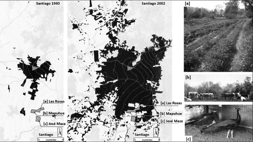 Fig. 2: The orchards of La Pintana.(Source: Authors’ maps and photos)