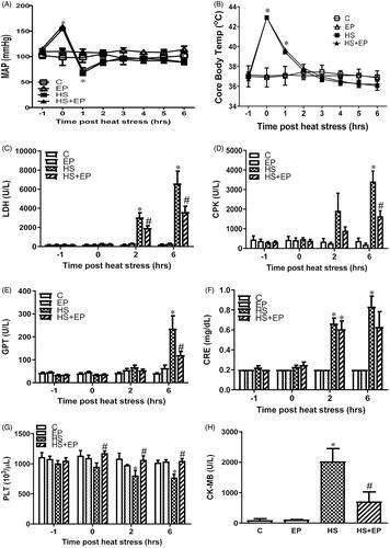 Figure 2. Effects of pretreatment with ethyl pyruvate (EP) on (A) mean arterial blood pressure (MAP), (B) core body temperature, (C) plasma levels of lactate dehydrogenase (LDH), (D) creatine phosphokinase (CPK), (E) glutamic pyruvate transaminase (GPT), (F) creatinine (CRE), (G) platelet counts (PLT) and (H) creatine kinase-MB (CK-MB) in HS rats. Data are expressed as mean ± SEM. *p< .05 versus C group; #p< .05 versus HS group.