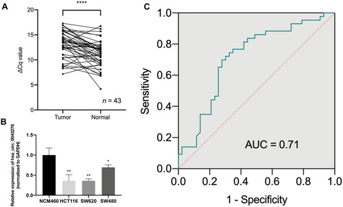 Figure 3 The expression level of hsa_circ_0043278 in colorectal cancer tissues and cell lines.