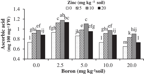 Figure 2. The effects of Zn-Gly application and different soil Boron concentrations on ascorbic acid content in pistachio leaf. *Mean separation by THSD at P ≤ 0.05.