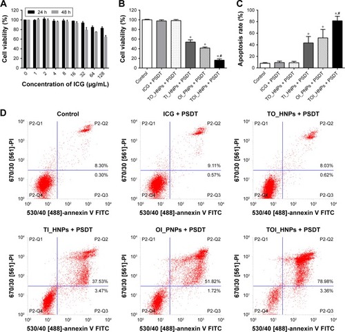 Figure 5 Therapeutic effect in SKOV3 cells after different treatments.Notes: (A) Cytotoxicity of TOI_HNPs using the MTT assay at a concentration of ICG for 0–128 µg/mL. (B) Cell viability of SKOV3 cells under different treatments was determined by the MTT assay (8 µg/mL of ICG). (C, D) Apoptosis detected by flow cytometry 24 hours after different treatments. Compared with control, *P<0.05; compared with other groups, #P<0.05.Abbreviations: ICG, indocyanine green; MTT, 3-(4,5-dimethylthiazol-2-yl)-2,5-diphenyltetrazoliumbromide; PFP, perfluoropentane; PSDT, photo–sonodynamic therapy; LPHNPs, lipid–polymer hybrid nanoparticles; TOI_HNPs, folate-targeted LPHNPs-loaded ICG/PFP-carrying oxygen; FITC, fluorescein isothiocyanate.