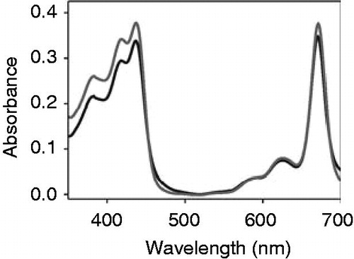 Figure 2. Chlorophyll a does not associate with apo-cytochrome b6. Absorbance spectra of free chlorophyll a (dark grey) and chlorophyll a after addition of 150 μg cytochrome b6 (grey) recorded under oxidizing conditions.