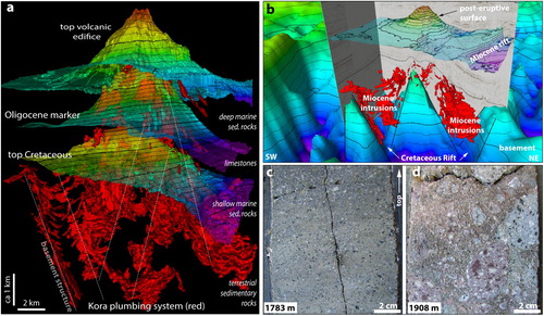 Figure 8. Oblique 3D seismic visualisation and volcanogenic rocks of the Kora Volcano, a long-lived Miocene stratocone of the Mohakatino belt. (a and b) Main chronostratigraphic surfaces rock units and structures coupled with geobody mapping of Kora plumbing system. Note that intrusions were preferentially emplaced into pre-existing Cretaceous-Paleocene grabens and along normal faults. (c) Photograph of a core sample from the drillhole Kora-1a at the depth of 1783 m showing a moderately sorted lapilli-tuff. (d) A polymictic volcanic conglomerate from 1908 m in Kora-1a. The location of the Kora Volcano is shown in Figure 7. Modified from Bischoff et al. (Citation2017) and Bischoff and Nicol (Citation2019).