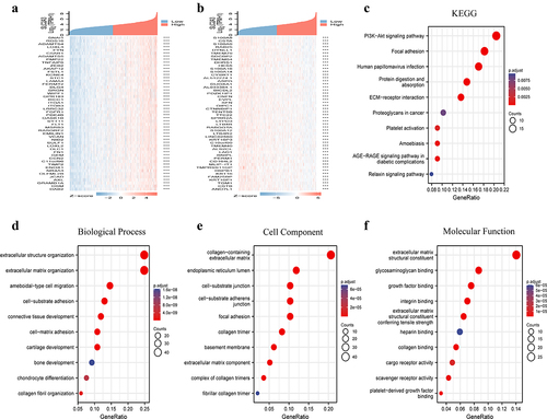 Figure 3. Enrichment analysis of the SLC2A3 gene coexpression network in HNSC. Heatmaps show the top 50 coexpressed genes (a) positively and (b) negatively correlated with SLC2A3 expression in HNSC. Enrichment analysis of (c) KEGG and (d – f) GO for SLC2A3 coexpression genes.