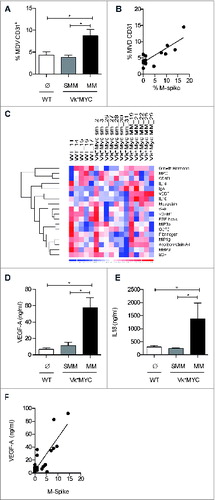 Figure 3. Increased BM angiogenesis characterizes the transition from SMM to MM in Vk*MYC mice. (A) Paraffin-embedded sections of the shinbone from Vk*MYC and sex-and age-matched WT littermates were stained with anti-CD31 mAb, and vessels were quantified by an expert pathologist. Data are reported as MVD for each shinbone. (B) Correlation plot of MVD and percentage of M-spike. Each dot represents an individual mouse. Statistical analyses (Linear Regression): p = 0.002 R2 = 0.65. (C) The indicated soluble molecules were quantified in the BM sera of the same groups of mice (n = 7/group) by Mouse Cytokine MAP B v 1.0. The Heat map shows the level of cytokines with values above 0, clustering using as distance metric 1-correlation, as linkage method average. (D and E) Data for the most relevant cytokines are also reported as mean ± SE, and are representative of two independent experiments. Statistical analyses (Student's t test): * p < 0.05. (F) Correlation plot for VEGF (pg/mL) and M-spike (%). Each dot represents an individual mouse. Statistical analyses (Linear Regression): p < 0.0001 R2 = 0.64.