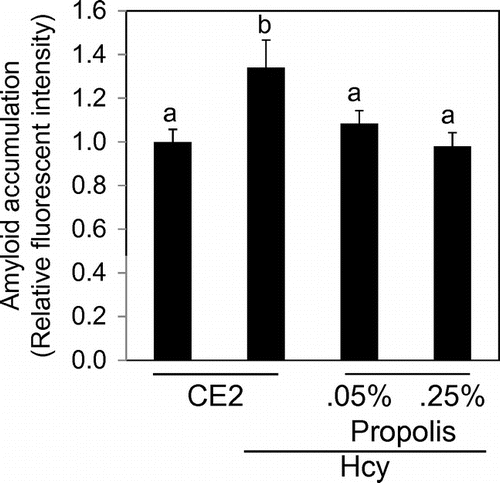 Fig. 4. Effects of propolis on accumulation of amyloid in hippocampus.Notes: The detection reagent interacts with the cross-β-sheet quaternary structure of amyloid fibrils. Results are expressed as mean ± SE (n = 3). Different characters indicate statistical significant differences (p < 0.05).