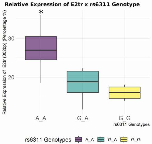 Figure 4. Relative percentage of truncated exon 2 splice isoform (as estimated by AUC), versus E2+ and E2− isoforms with respect to rs6311 genotypes. A/A homozygotes express significantly more of the E2tr isoform relative to G/G homozygotes and heterozygotes (*p < 0.05).