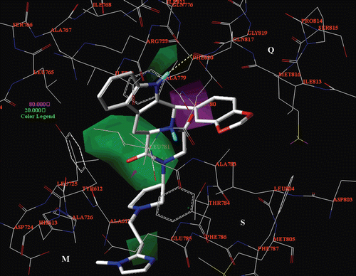 Figure 14.  The CoMSIA H-bond acceptor map is displayed around the compound 62 selected docking pose (in stick), located into the PDE5 catalytic site. H-bond acceptor groups: magenta, favoured; green, disfavoured. The most important residues are labelled.