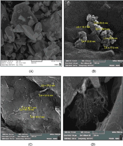 Figure 7. FESEM images taken from mud cake after dynamic filtration test. (a) fresh mud cake with bentonite particles, (b) nano-SiO2 mud cake, (c) nano-CaCO3 mud cake and (d) MWCNTs mud cake.