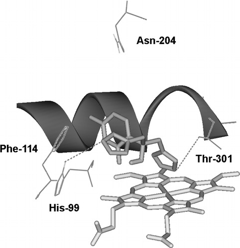 Figure 2 The active site region of CYP2C19 containing the bound inhibitor, Fluconazole (pale pink), with close contact residues labelled and hydrogen bonds shown as dashed lines.