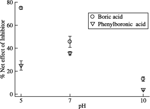 Figure 2 pH-dependence of boric acid and phenylboronic acid inhibition of pigeonpea urease. The percent (%) net effect of inhibitor was determined by the formula mentioned in the text. The enzyme activity was carried out in three different buffers, pH 5.0 (0.05 M MES), pH 7.0 (0.05 M Tris–acetate) and pH 10.0 (0.05 M Carbonate).