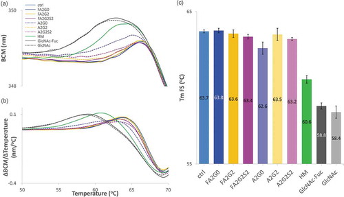 Figure 11. Intrinsic fluorescence spectroscopy (FS) analysis to measure transition temperature showed transition temperature was decreased in partially deglycosylated acceptors and terminally mannosylated mAb-HM glycoforms. (a) Barycentric mean (BCM) shift curve. (b) First derivative of BCM shift and (c) peak top temperatures as Tm FS for each glycoform. Tm FS was significantly reduced in partially deglycosylated acceptors and terminally mannosylated mAb-HM. Error bars represent variation range of n = 2.