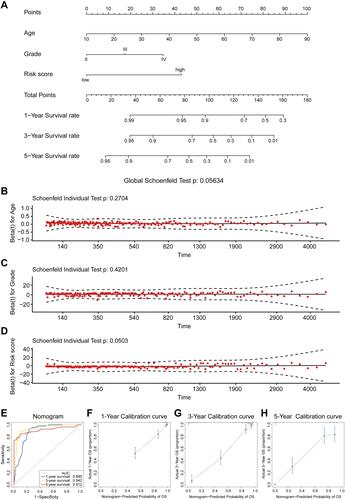 Figure 7 Construction and validation of a prognostic nomogram model. (A). A nomogram for predicting the 1-, 3-, and 5- year survival rates of patients with glioma. (B–D). Schoenfeld’s individual and global test for estimating time-varying covariance. (B) Age; (C) Grade; (D) Risk score.(E). ROC curves were used for evaluating the efficiency of the nomogram in the TCGA dataset.(F–H). The calibration plots for predicting patients’ survival at 1- (F), 3- (G), or 5- (H) year in the TCGA dataset.