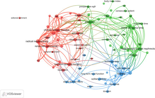 Figure 2 Network visualisation map of terms in the title/abstract fields of publications related to renal function in nephron-sparing surgery from 2001 to 2020. When the minimum term occurrences were placed at least 20 times, a visualized map of terms was generated. Out of 7049 terms in this area, 121 met this criterion, which were divided into three clusters and coloured differently. The node’s size indicates the number of publications that use that term.