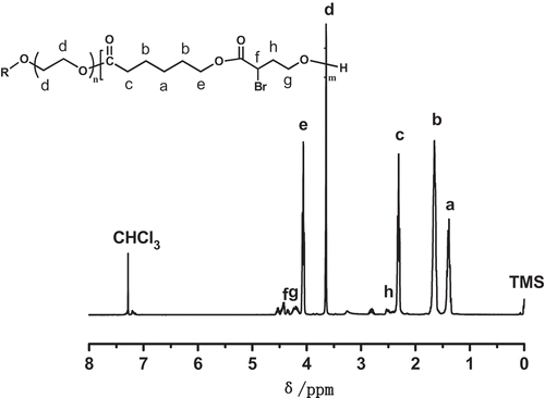 Figure 1. 1H-NMR spectra of the copolymer PEGCB3.