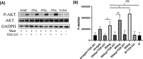 Figure 6. Western blotting results.(A) Expression of platelet P-Akt,Akt and GAPDK.(B) the relative expression of P-Akt. In the experiment, resting platelets were used as negative control, the expression of GAPDH was used to measure the sample loading between groups, and the relative expression of P-Akt was measured by P-Akt/Akt. P < .05 means the difference is significant, * stands for P < .05, *** stands for P < .0005. The microchannel was blocked with BSA before the sample was perfused.