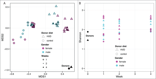 Figure 7. (A) Multidimensional scaling of OTU abundances from the fecal transplant experiment with donors fed a control and high vitamin D diet. The single black data points (lower right corner) represent the 2 donor samples for the control and high vitamin D diet. Triangles represent high vitamin D and circles represent control diet. The cyan and magenta indicate sex (male and female, respectively) while the inner color indicates time post fecal transplant in weeks as white, gray and black for one, 2 and 4 weeks, respectively. As with the initial fecal transplant study, the samples diverge from the donors rapidly but begin to become more donor-like by week 4. There is a strong division between the 2 diets in post-transplant. (B) Community complexity for fecal transplant with donors fed control and high vitamin-D diets. The donor samples for each diet are shown at week 0. There is no significant difference by sex, however, the microbiota from high vitamin-D diet appears to establish a more diverse bacterial community.