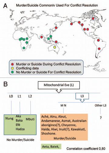 Figure 3 Correlation between the use of murder/suicide and mtDNA haplogroups. (A) Practice of murder or suicide to solve conflicts. (B) mtDNA haplogroups and the practice of murder or suicide to solve conflicts.