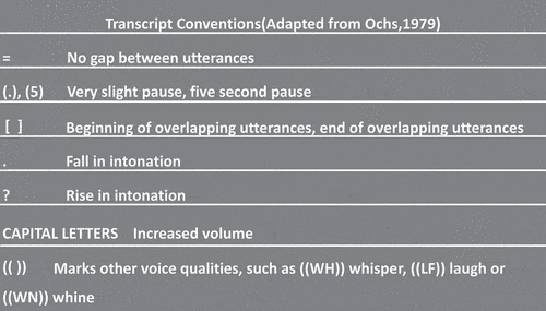 Figure 3. Transcript Conventions.