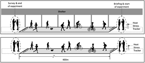 Figure 2. Field survey of participants on sheltered (above) and unsheltered (below) link-ways