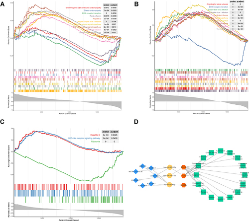 Figure 4 Functional enrichment analysis of the 3 hub genes. (A–C) single-gene GSEA-KEGG was performed on the 3 hub genes, DDX58 (A), SAMD9L (B), and TLR6 (C and D) a network containing four parts, 3 hub genes and 16 KEGG pathways based on those genes, 3 miRNAs, and 7 DE-lncRNAs.