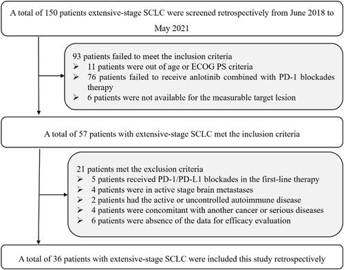 Figure 1 Flow chart of the retrospective study of anlotinib combined with PD-1 blockades in the treatment for patients with previously treated small cell lung cancer.