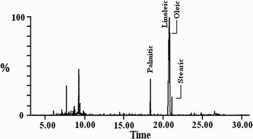 Figure 1. GC for MA-fatty acids methyl ester.