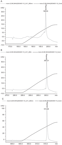 Figure 3.  Plasmid purity analysis by HPLC. Plasmid purity was determined by anion-exchange HPLC on a MONO QTM 5/50 GL column. A linear gradient was performed at 0.5 mL/min by increasing the NaCl 0–1 M in 40 mM Tris/HCl, pH 8.0 for 10 CV at a flow rate of 0.5 mL/min. (A) plasmid sample purified by 2 M ammonium sulfate, (B) plasmid sample purified by 2.5 M ammonium sulfate, (C) plasmid sample purified by 3 M ammonium sulfate.