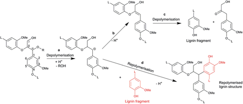 Figure 6. Schematic representation for reactions of lignin. (a) Cleavage of β-O-4 bond and formation of carbocation; (b) elimination of β-proton giving rise to an enol ether; (c) acid hydrolysis of enol ether; (d) repolymerization reaction. Adapted from Pielhop et al. (Citation2015).