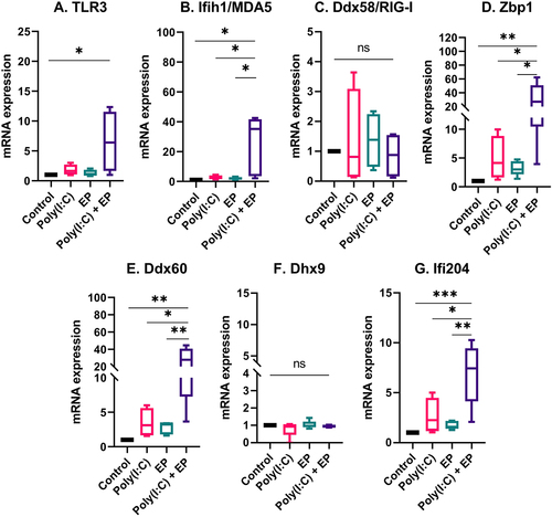 Figure 5. The regulation of several dsRNA sensor and co-sensor mRNAs by poly(I:C) transfection in mammary carcinoma cells. Relative expression of (A) TLR3, (B) Ifih1/MDA5, (C) Ddx58/RIG-I, (D) Zbp1, (E) Ddx60, (F) Dhx9, and (G) Ifi204. (***p < 0.001, **p < 0.01, * p < 0.05, ns = non-significant, n = 3–5).