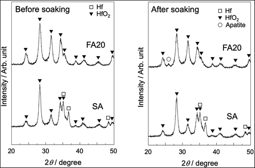 Figure 3. TF-XRD patterns of SA and FA20 before and after soaking in SBF. Soaking time is 7 days for SA and 8 days for FA20.