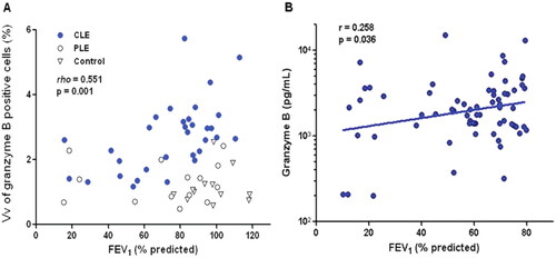 Figure 5. The relationship between the volume fraction (Vv) of granzyme B+ cells in small airways and FEV1% predicted in subjects with centrilobular emphysema (CLE). P value for spearman’s rank correlation coefficient is applied to CLE subjects (A) and that between lung tissue expression of granzyme B, measured by enzyme-linked immunosorbent assay and FEV1% predicted in smokers with FEV1 less than 80% predicted (B) [Citation63].
