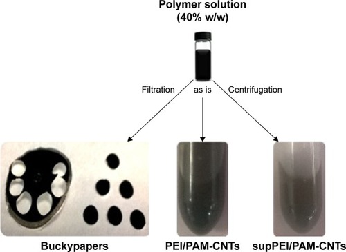 Figure 1 Schematic illustration of the general procedure for polymer-coated CNTs preparation (10%, 20% and 40% w/w solution of PEI and PAMAM).Note: The most stable suspension (40%) was used for the preparation of buckypapers and very small CNTs (supPEI/PAM-CNTs).Abbreviations: CNTs, carbon nanotubes; PAMAM, polyamidoamine dendrimer; PEI, polyethyleneimine.