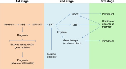 Figure 6 Model for diagnosis and treatment of patients with MPS IVA.