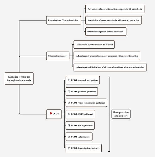 Figure 1 Diagram of advances in the guidance techniques for regional anesthesia.