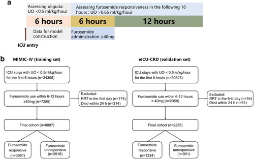 Figure 1. Design and patient screening of the study. (a) Schematic illustration of the time windows for the definition of oliguria and furosemide responsiveness. Oliguria was defined as urine output < 0.5 mL/kg/h for the first 6 h after ICU admission. Diuretic responsiveness was defined as urine output > 0.65 mL/kg/h for 18 h after administration of furosemide. It is noted that the time window for the definition of oliguria preceded the furosemide treatment. (b) Flow chart of patient selection.