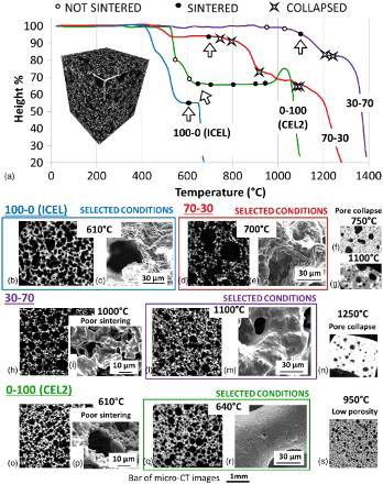 3 Summary of the results of sintering trials for different glass powder mixtures: a all sintering trials reported on HSM curves and example of 3-D model of scaffold obtained from micro-CT results using CTvox software (white lines in three directions correspond to 1 mm); examples of sections of scaffolds derived by micro-CT analysis and FESEM images: 100-0 (ICEL) scaffold sintered at 610°C: section of scaffold derived by b micro-CT analysis (porosity 62 vol.-%) and c FESEM micrograph; 70-30 scaffold sintered at 700°C: section of scaffold derived by d micro-CT analysis (porosity 75 vol.-%) and e FESEM micrograph; section derived by micro-CT analysis of 70-30 scaffolds sintered at f 750°C and g 1100°C, both showing collapse of scaffold structure and very low porosity ( < 25 vol.-%); 30-70 scaffold sintered at 1000°C: section of scaffold derived by h micro-CT analysis (porosity 69 vol.-%) and i FESEM micrograph, showing poor sintering quality; 30-70 scaffold sintered at 1100°C: section of scaffold derived by l micro-CT analysis (porosity 55 vol.-%) and m FESEM micrograph; n section derived by micro-CT analysis of 30-70 scaffolds sintered at 1250°C, which shows collapse of scaffold structure and very low porosity (14 vol.-%); 0-100 (CEL2) scaffold sintered at 610°C: section of scaffold derived by o micro-CT analysis (porosity 56 vol.-%) and p FESEM micrograph, showing poor sintering quality; 0-100 (CEL2) scaffold sintered at 640°C: section of scaffold derived by q micro-CT analysis (porosity 47 vol.-%) and r FESEM micrograph; s section derived by micro-CT analysis of 0-100 (CEL2) scaffolds sintered at 950°C (porosity 40 vol.-%)