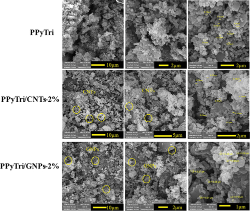Figure 6. SEM images of the pure copolymer and its nanocomposites PPyTri, PPyTri/CNTs-2%, and PPyTri/gnps-2%.