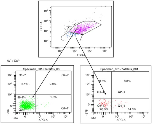 Fig. 1.  Microparticles (MP) are gated on their size and ability to express phosphatidylserine when stained by Annexin V in the presence of calcium. Platelets (pink) show no expression of phosphatidylserine after staining by AV conjugated with APC, while MP (blue) show >95% positivity.