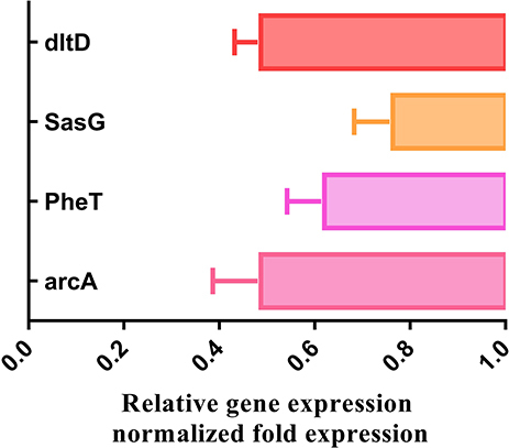 Figure 4 The mRNA levels of four genes were respectively analyzed by qPCR method in MRSE with and without PS.