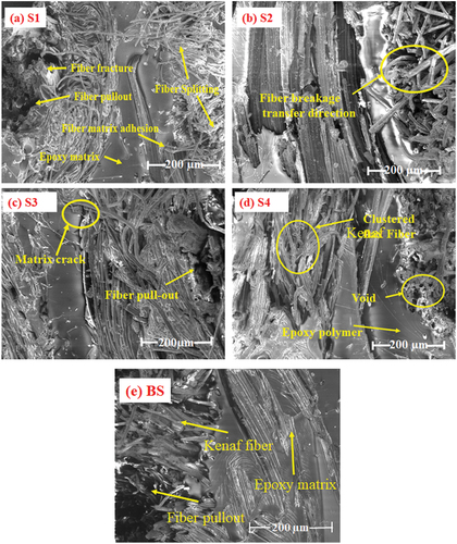 Figure 5. Typical fractured SEM images of S1, S2, S3, S4, and BS stacked composites.