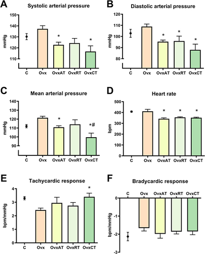 Figure 2 Hemodynamic and baroreflex sensitivity data. (A). Systolic arterial pressure; (B) Diastolic arterial pressure; (C) Mean arterial pressure; (D) Heart rate; (E) Tachycardic response; (F) Bradycardic response in studied groups (n=8 each group). *p<0.05 versus Ovx group; #p<0.05 vs versus OvxRT group.